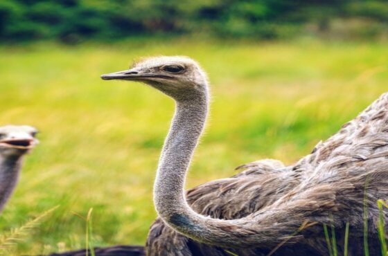 Top 5 destinations & adventure travel