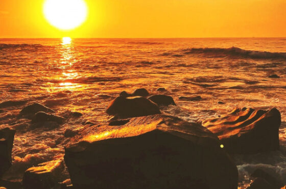 Journeys are best measured with friends